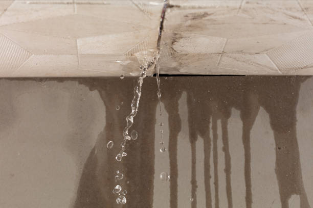 Professional Structural Drying technician working in Grant, MI